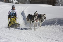 Kandersteg 2013